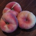 Picture of Peach Flatto Sweet Cap